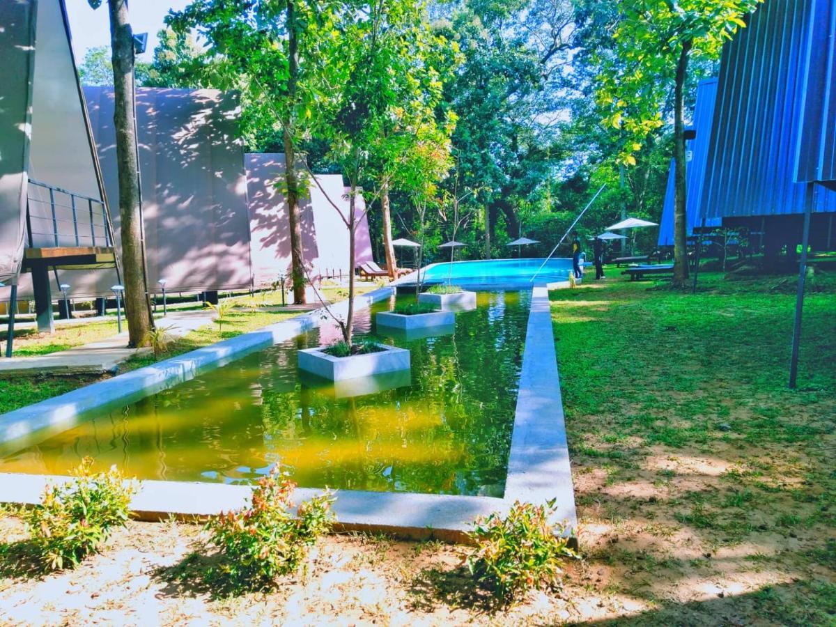 Kottawatta River Bank Resort อุดาวาลาเว ภายนอก รูปภาพ